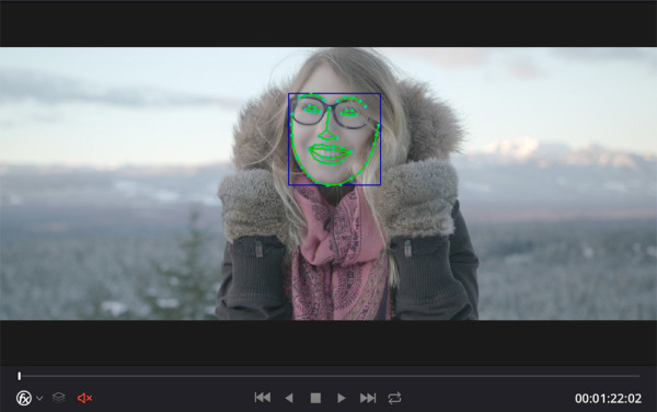 DaVinciResolve14_Facetracke-13575_PIC4-600.jpg