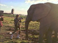 HP: Making-of "EDDIE - Aus Liebe zum Vidjo"