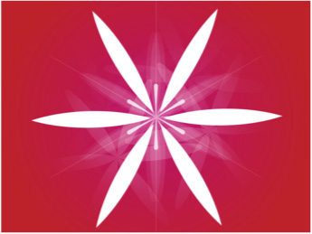 Das neue Adobe After Effects CS 3 Professional : shape