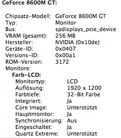 256 MB Grafikspeicher