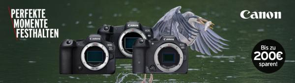 Aktion Image Canon Frhjahrs-Aktion (EOS R Kameras)