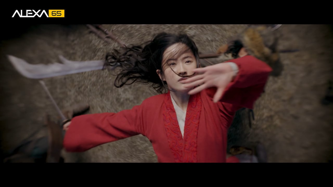 ARRI ALEXA 65 Showreel 2020 online: State of the Art Snapshot