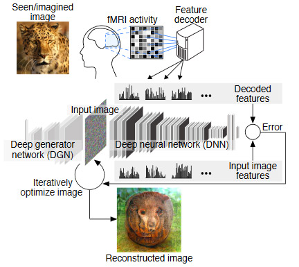 Deep-Image-Reconstruction-overview
