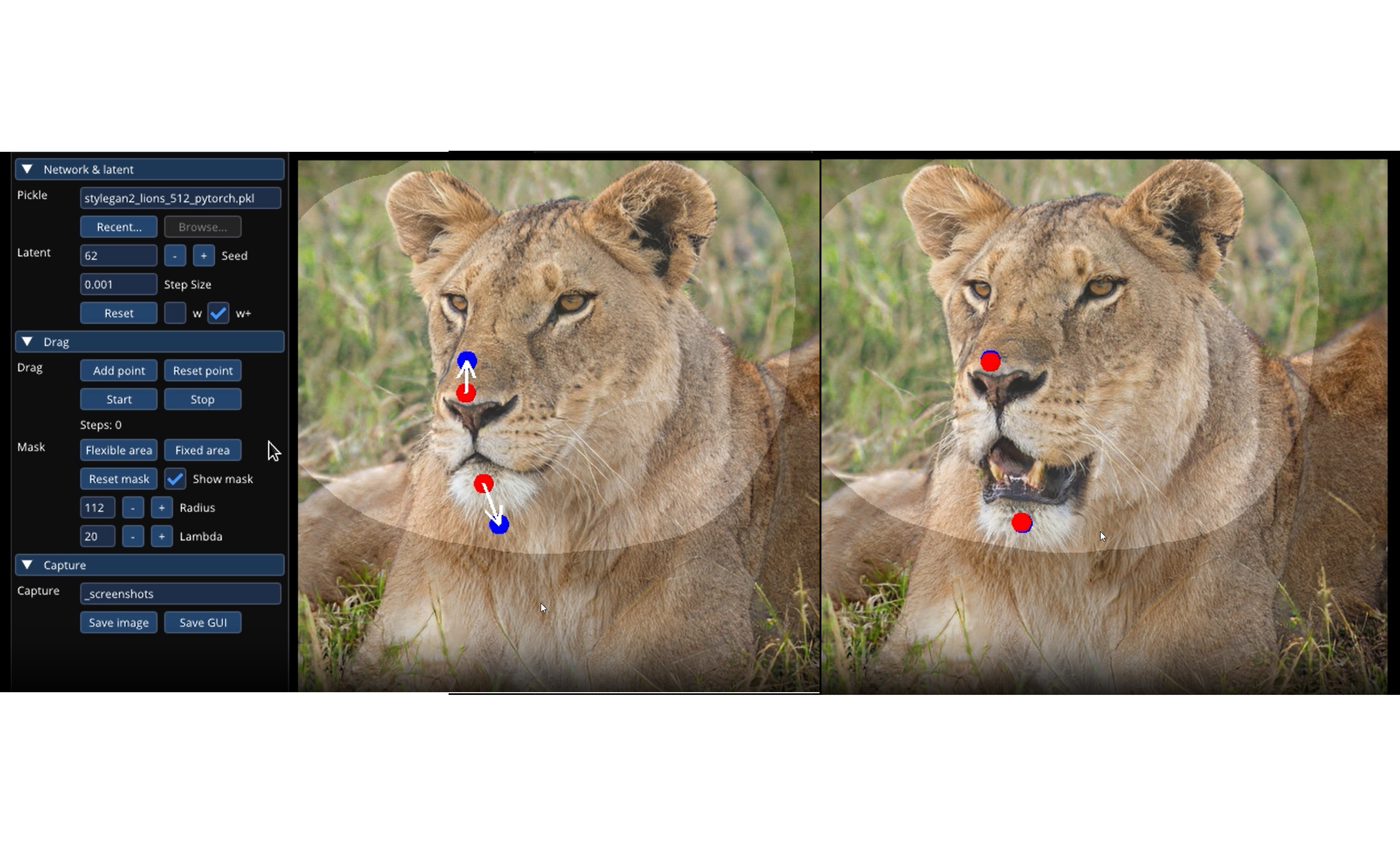 Drag your GAN - Change AI motifs simply by dragging them