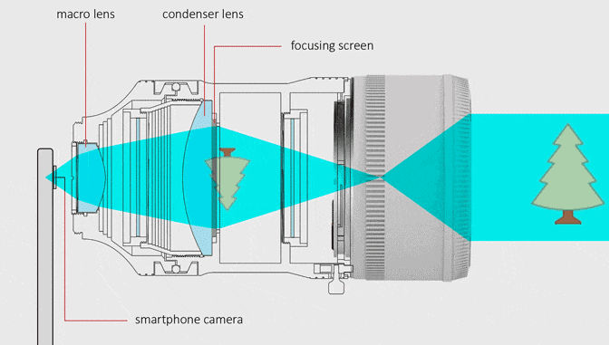 dof adapter smartphone