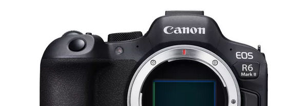 canon_R6II