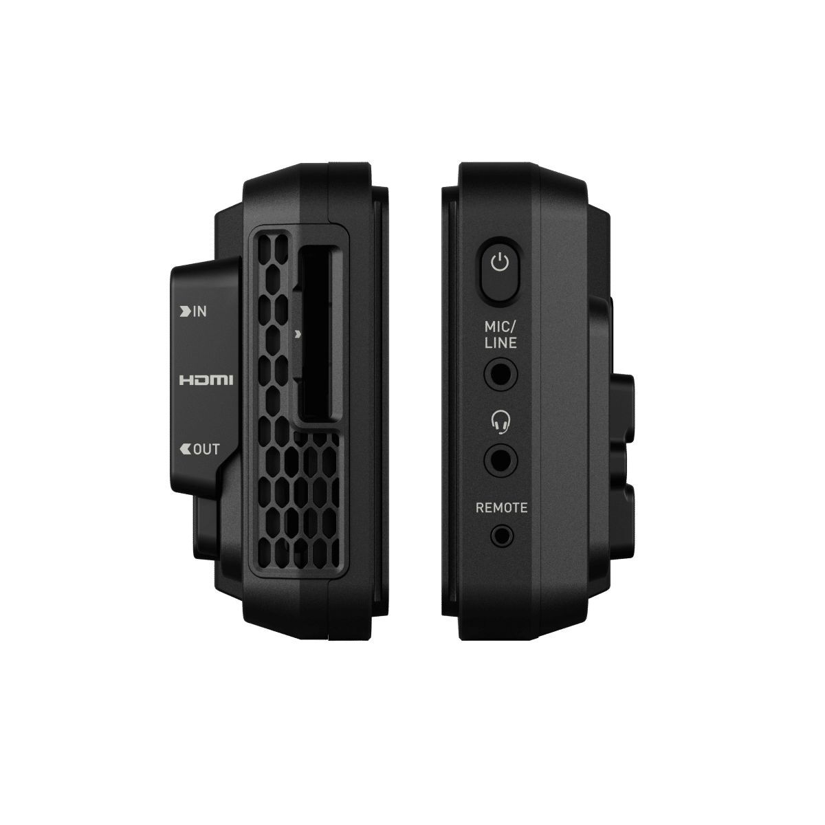 dtc-ninja-raw-3_ef4fa4