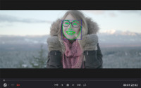 DaVinciResolve14_Facetracke