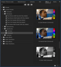 Premiere-Pro_DynamicLumetriPresets