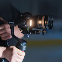 Weebill-3-Licht