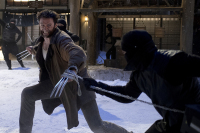 Wolverine