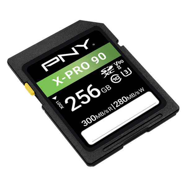 2-PNY-Flash-Memory-Cards-X-PRO-90-256GB-la