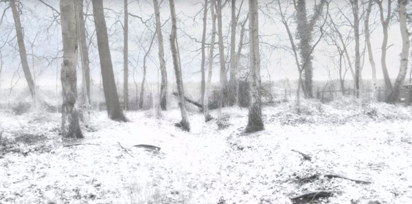 AFX_schnee