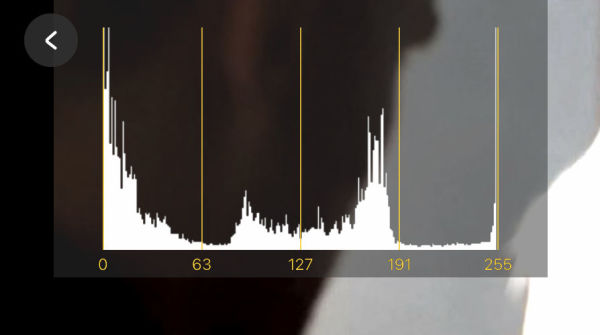 Accsoon_SeeMo_histogram