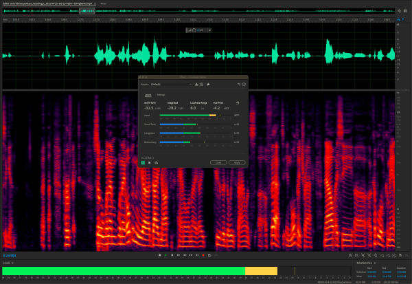 Adobe_LoudnessMeter_waveform