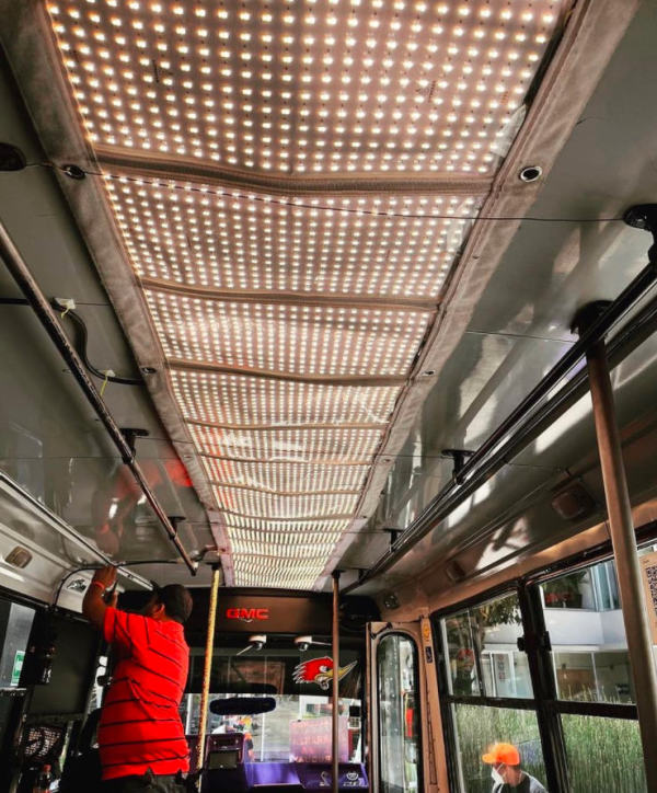 Auroris-Bus