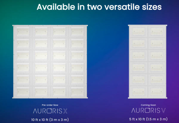 Auroris-Sizes