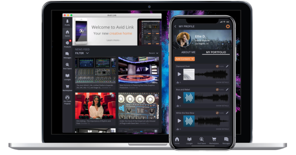 Avid-Link