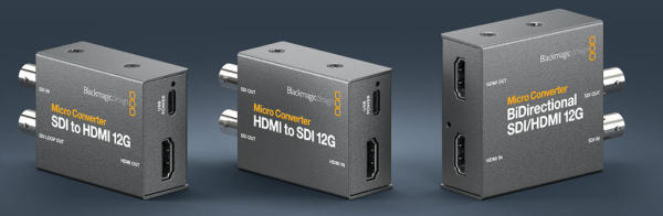 BM-MCs-3