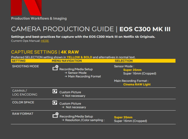 C300_Mk3_netflix