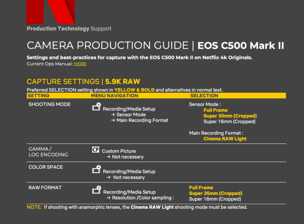 C500MKII_Netflix