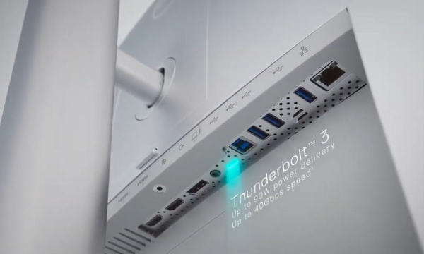DELL-U4021QW-IO