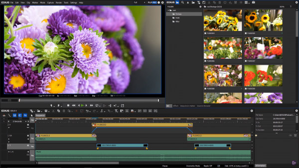 EDIUS9_screen