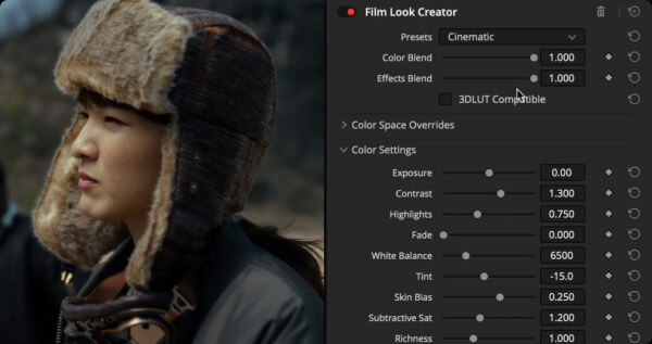 Film-Look-Creators