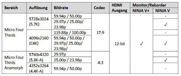 GH6-RAW-per-HDMI