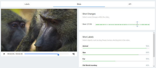 Google-Video-Objekterkennung