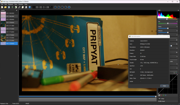 Magic_Lantern_Dig8_2