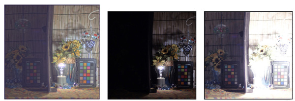 Nikon_sensor_3