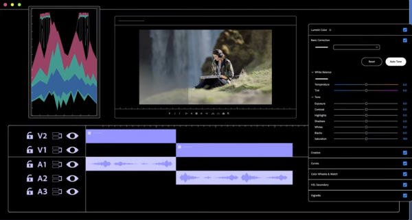 Premiere-Auto-Tone-Screen