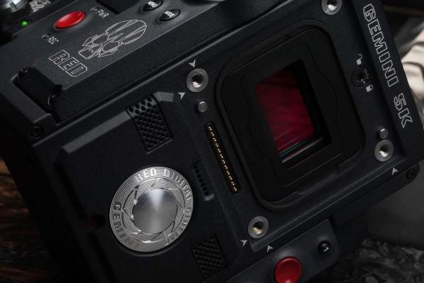RED-Gemini