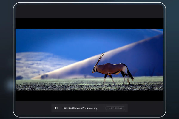 Remote_monitor_Resolve_2