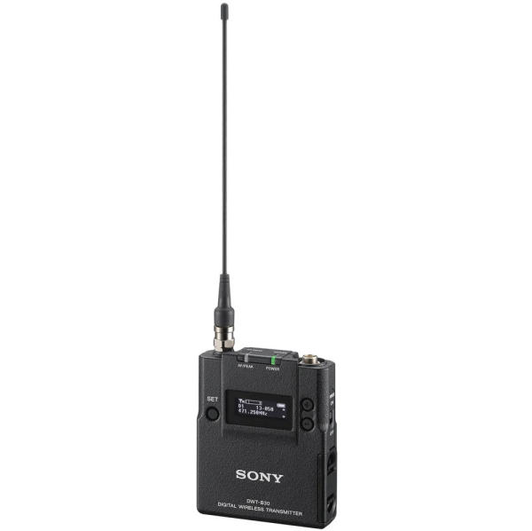 SONY_DWT-B30
