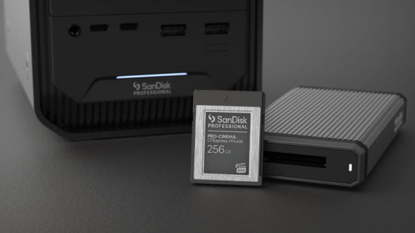SanDiskProfessional256