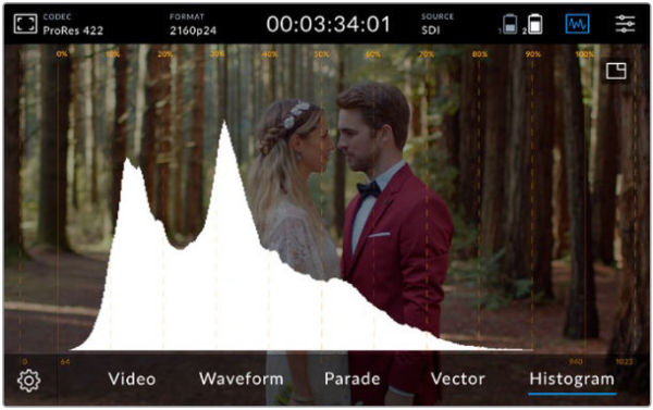 blackmagic_video_assist_12G_3-8_histogram