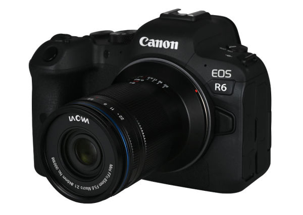 canonR6_Laowa_85mm_2xMacro