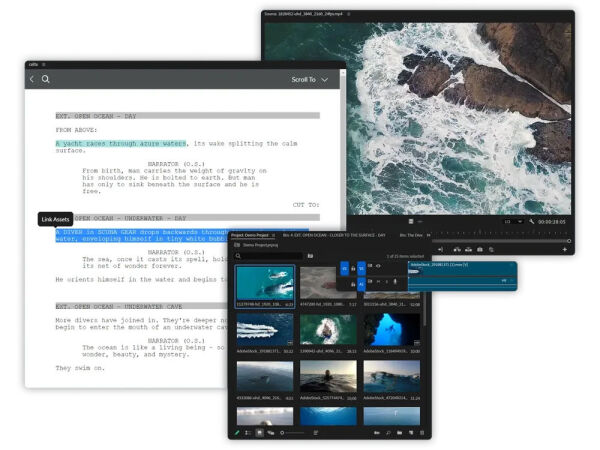 celtx_premierePro_linkassets
