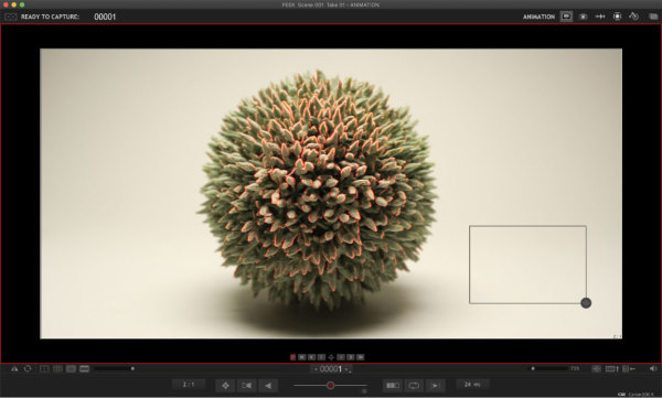 manual-focus-peaking