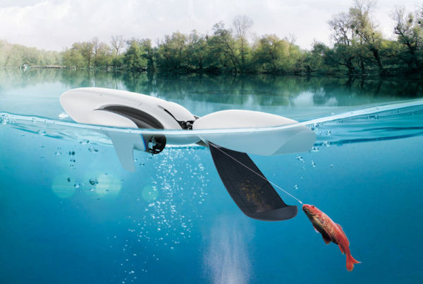 powerdolphin_fisch