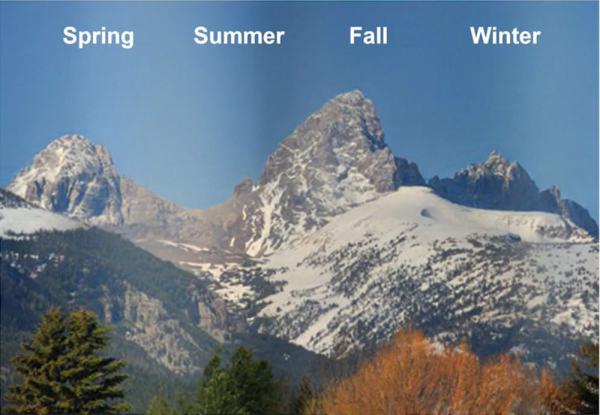 springsummerwinterfall