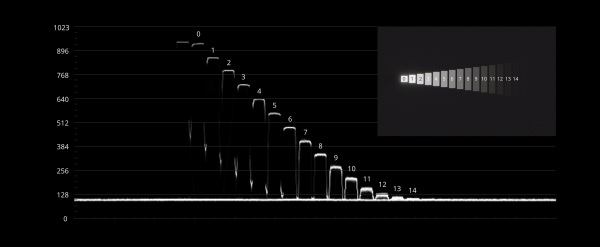 Xyla Chart