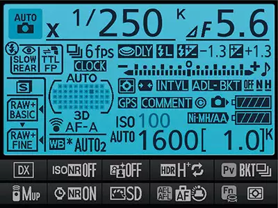 Nikon D7100 LCD