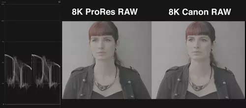  Prores RAW vs Canon RAW, Log only - sooc