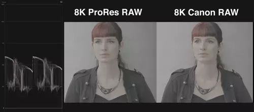 Prores RAW vs Canon RAW, Log only - sooc