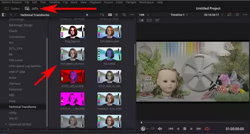 Die bunte Welt der DCTLs in Resolve - Teil 1: Zwischen LUT und Plugin : LUT browser