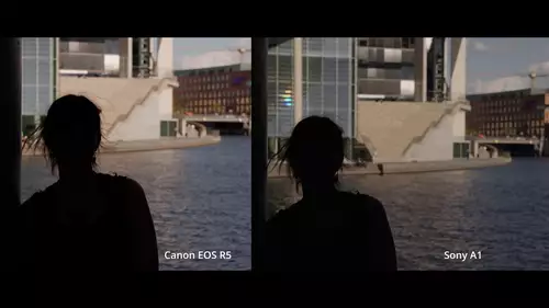 Vergleich: Sony A1 vs Canon EOS R5 in der Praxis - welche Highend Video-DSLM wofr? : HDRMotiv1