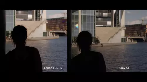 Vergleich: Sony A1 vs Canon EOS R5 in der Praxis - welche Highend Video-DSLM wofür? : HDRMotiv1